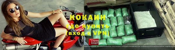 хмурый Пересвет
