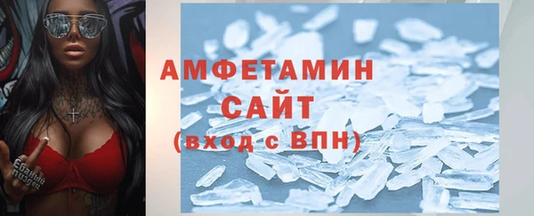 хмурый Пересвет