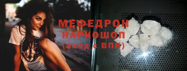 хмурый Пересвет