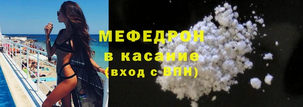 хмурый Пересвет
