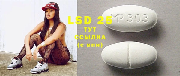 хмурый Пересвет