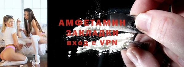 хмурый Пересвет
