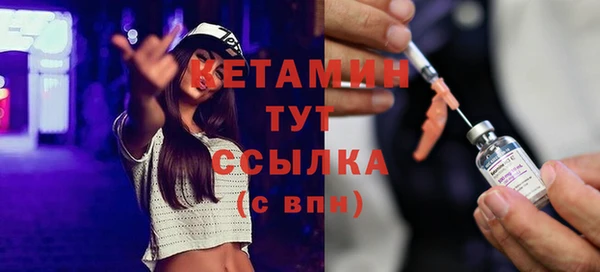 хмурый Пересвет