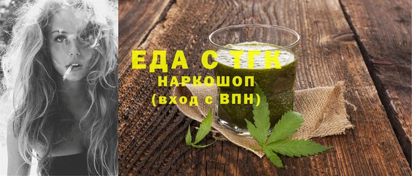 хмурый Пересвет