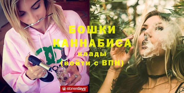 хмурый Пересвет
