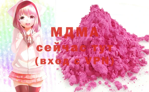 хмурый Пересвет