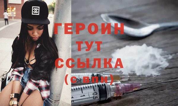 хмурый Пересвет