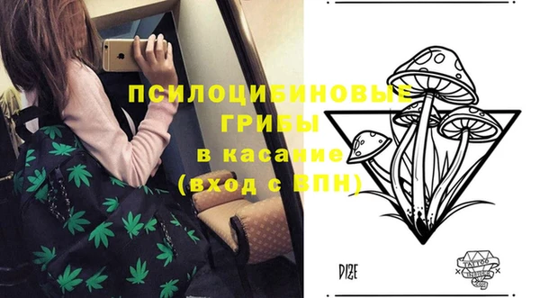 хмурый Пересвет