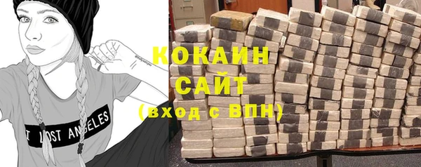 хмурый Пересвет