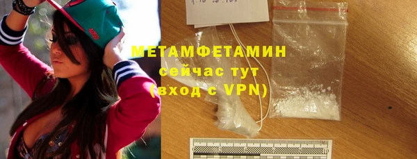 хмурый Пересвет