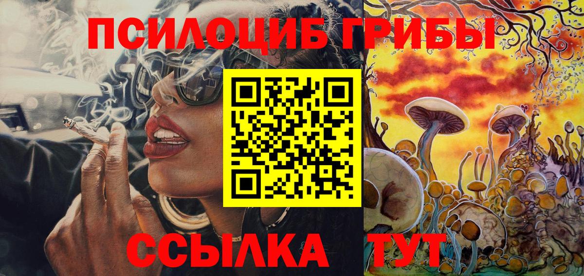 Унеча  Галлюциногенные грибы прущие грибы  Галлюциногенные грибы Magic Shrooms  Вход с VPN 